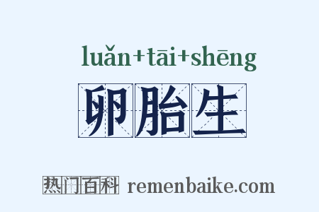 卵胎生是什么意思的图片